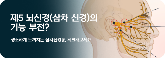 제5 뇌신경(삼차 신경)의 기능 부전? 생소하게 느껴지는 삼차신경통, 체크해보세요